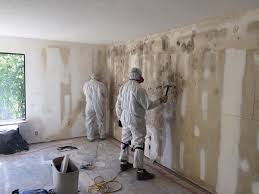 Best Forensic Mold Investigation  in Benjamin, UT